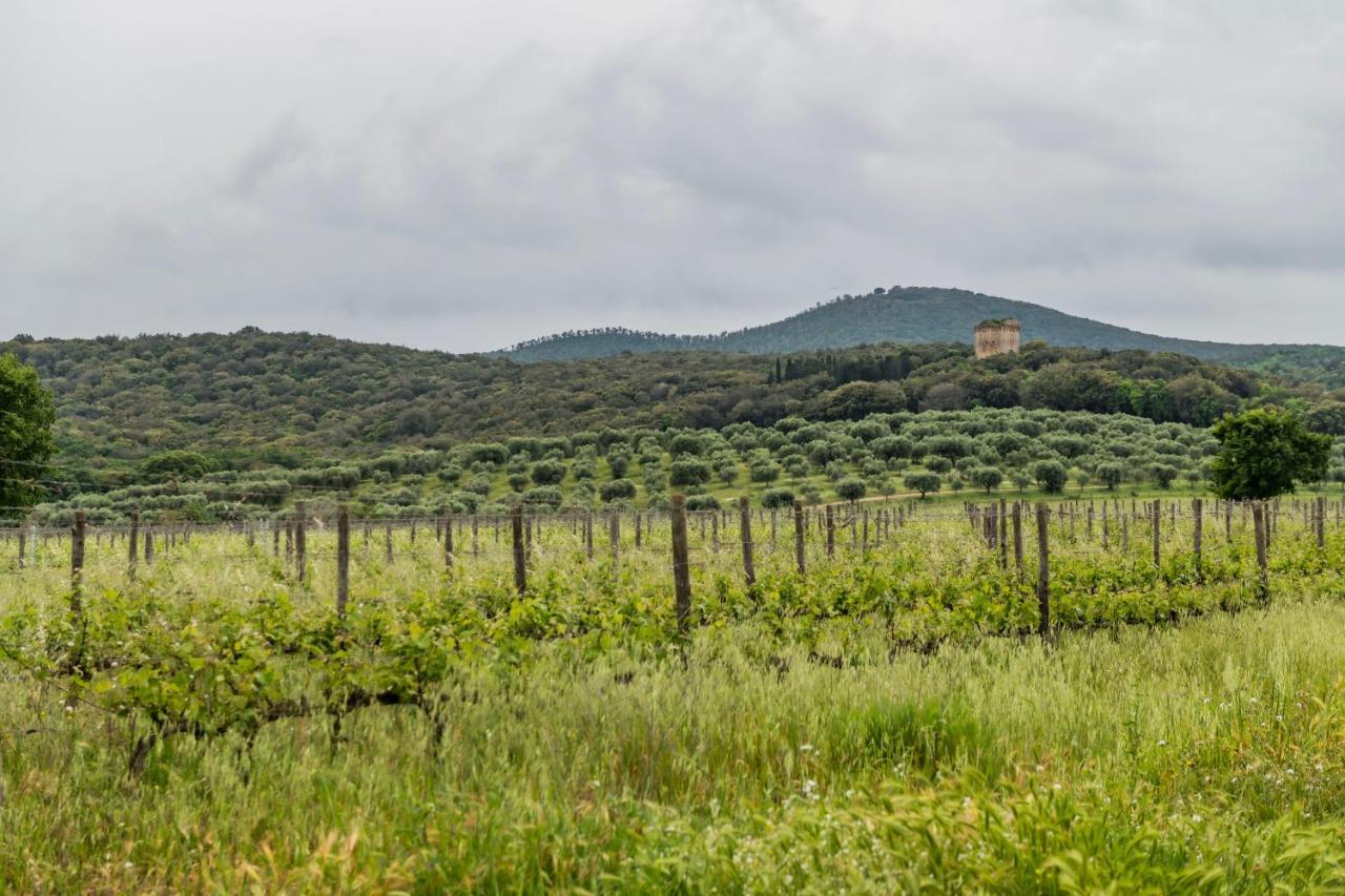 Tenuta Agricola Dell'Uccellina มาลียาโน อิน ตอสกานา ภายนอก รูปภาพ