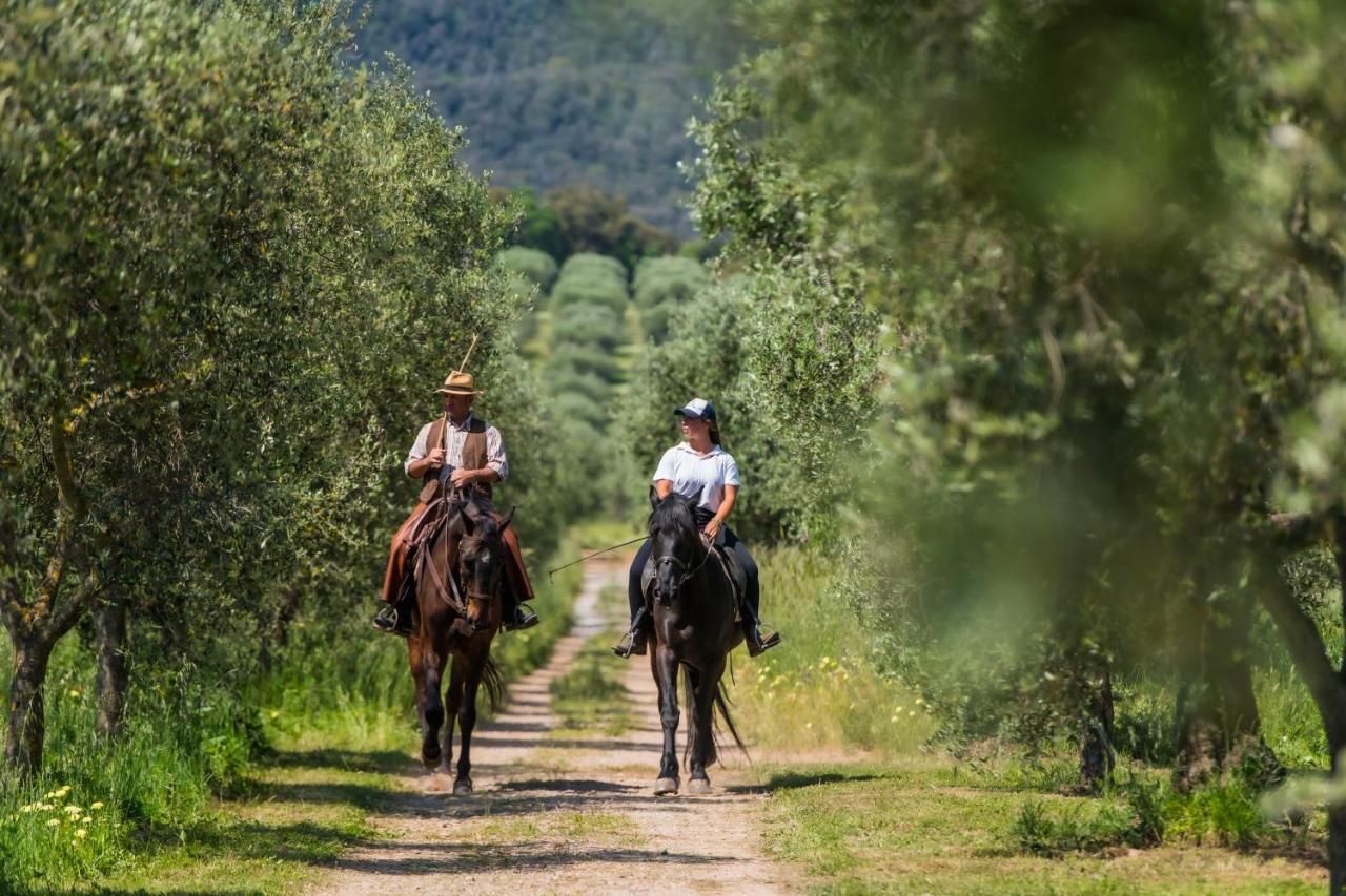 Tenuta Agricola Dell'Uccellina มาลียาโน อิน ตอสกานา ภายนอก รูปภาพ