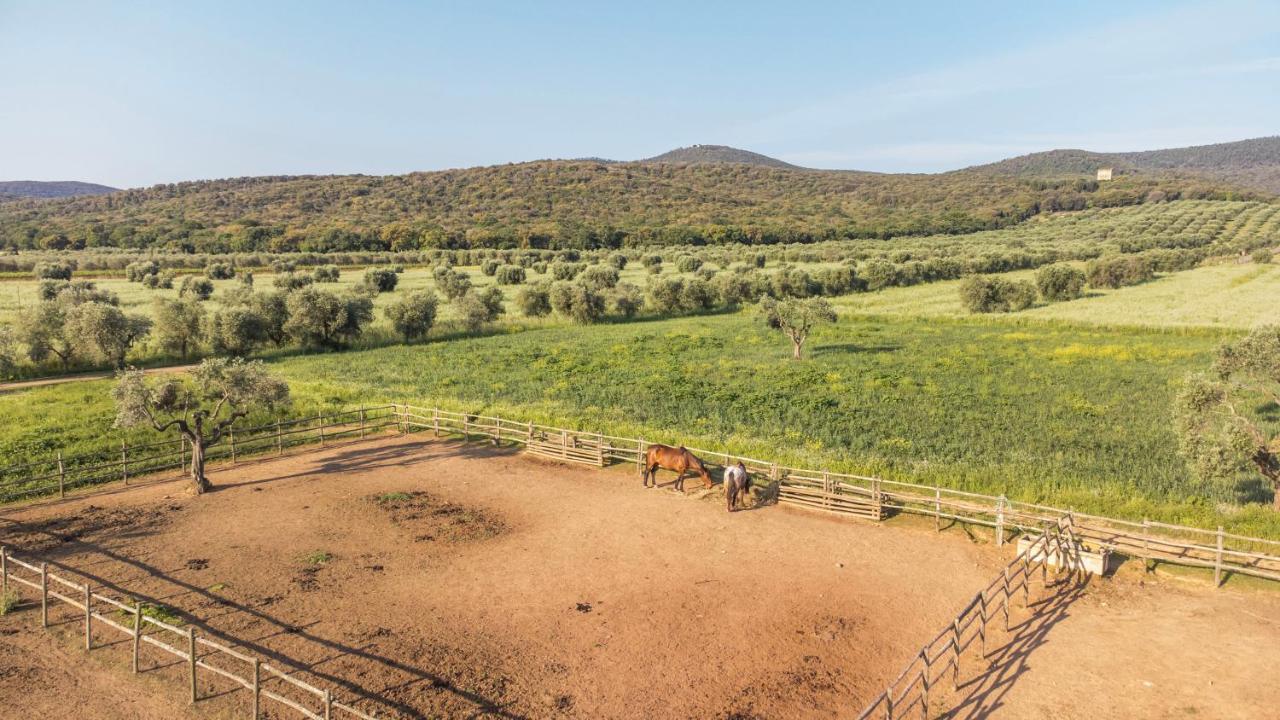 Tenuta Agricola Dell'Uccellina มาลียาโน อิน ตอสกานา ภายนอก รูปภาพ
