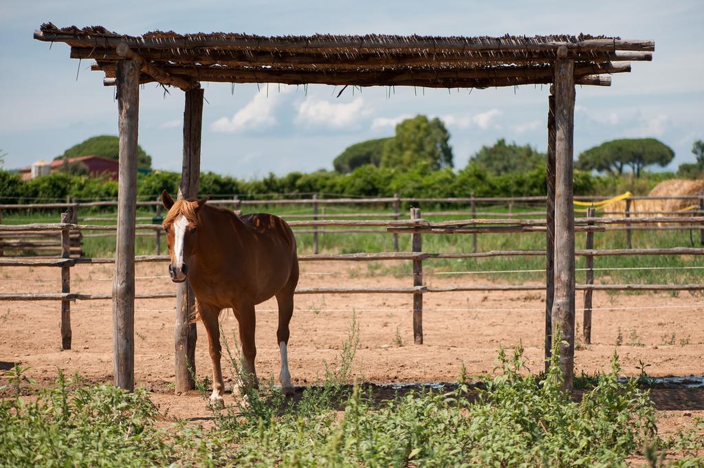 Tenuta Agricola Dell'Uccellina มาลียาโน อิน ตอสกานา ภายนอก รูปภาพ