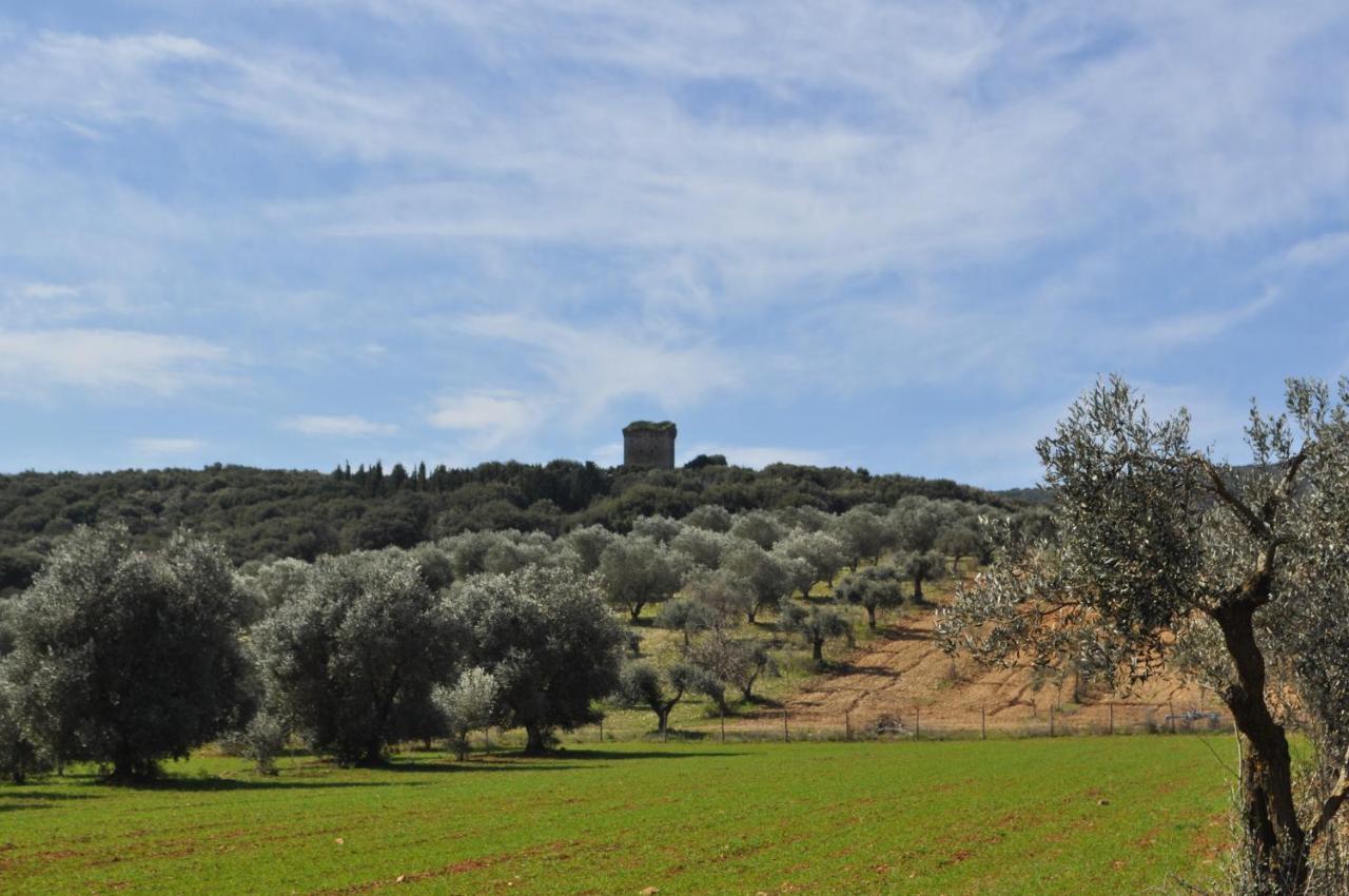 Tenuta Agricola Dell'Uccellina มาลียาโน อิน ตอสกานา ภายนอก รูปภาพ